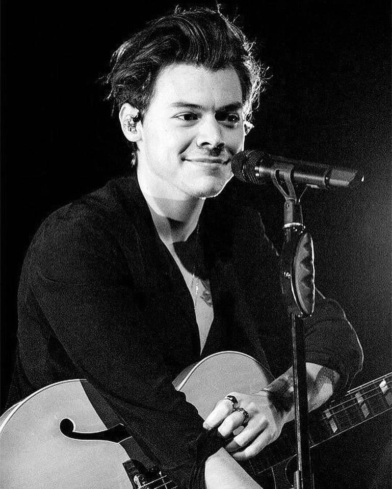 best harry pics tweet media