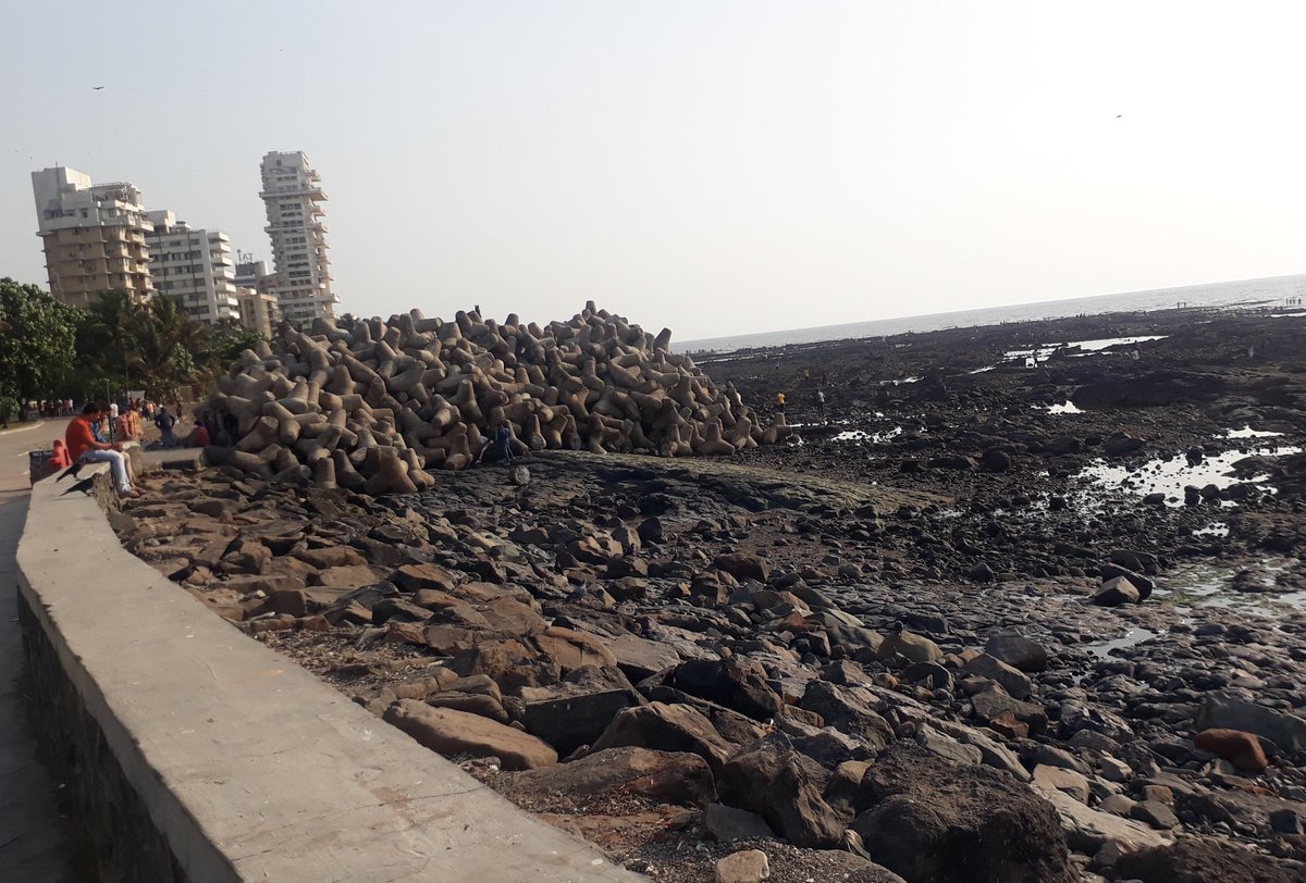 ThakkarKalpana's tweet photo. #OnceUponATimeInMumbai
There exists⁉️⁉️🤔😥😔
#BeautifulSeaShore
#MumbaisCoastalBeauty
#BandraPromenade
#HugeTetrapods
I'm clueless 🤔 Is it to save fr high tide or this sight also going to vanish lik #BarricadedCarterRoadPromenade for #CoastalRoadProject https://t.co/JIX7cLhbIu