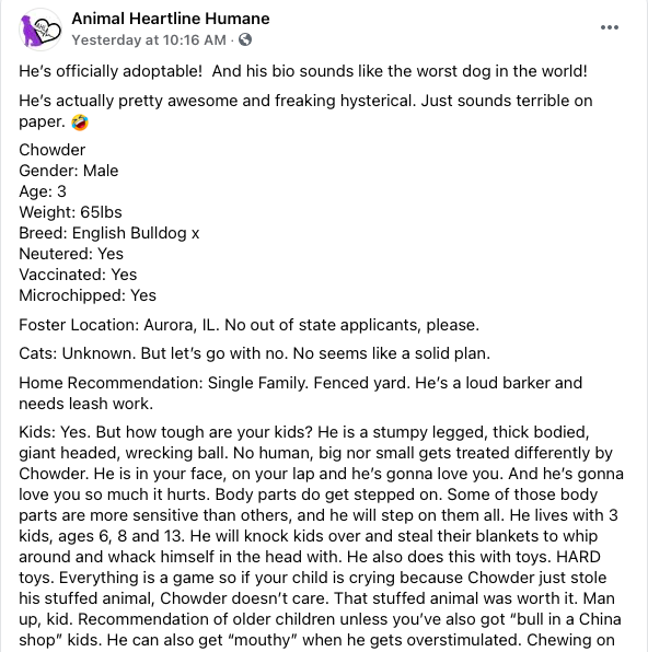 arin_twit's tweet photo. THAT's a good pet adoption bio. Good luck getting a nice hooman, Chowder. And stay gross, good boy.

More info here: https://t.co/L6poAhj1vb

Chowder is in Illinois https://t.co/sf6fwDrzyM