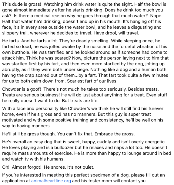 arin_twit's tweet photo. THAT's a good pet adoption bio. Good luck getting a nice hooman, Chowder. And stay gross, good boy.

More info here: https://t.co/L6poAhj1vb

Chowder is in Illinois https://t.co/sf6fwDrzyM