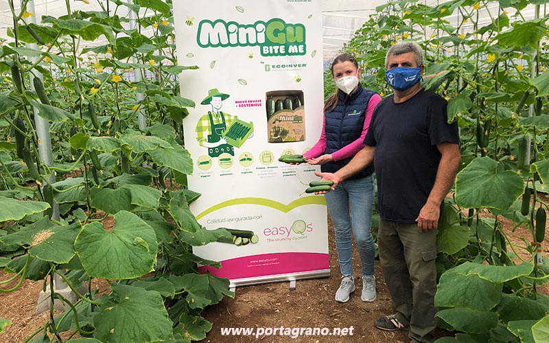 Portagrano's tweet photo. 🆕🆕#Pepino mini Katrina. Una nueva opción de Enza Zaden
https://t.co/Hqm4FLBSCN
En #Almería se cultivan ya 200 hectáreas, 80 de las cuales comercializa Ecoinver, empresa asentada en Las Norias de Daza (El Ejido)
#cucumber #pepinoKatrina #MiniGu #EnzaZaden https://t.co/olTCLFWTIC