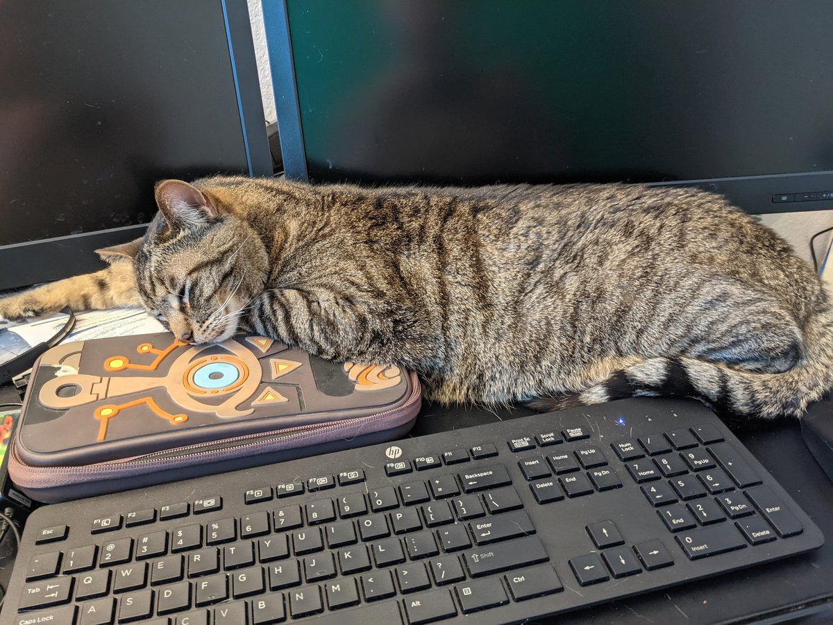 One of them days, huh Hermes? #sleepy #CatsOfTwitter #adorable #wholesome #CuteCats #cat