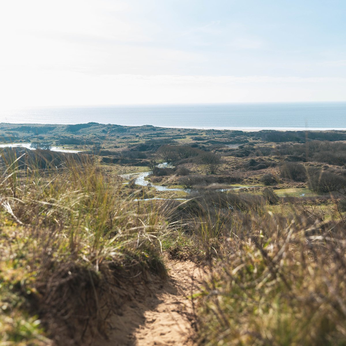 _visitbridgend's tweet photo. Take on an energetic few miles of sandy terrain, with stunning views and the chance to explore the plants and wildlife of Merthyr Mawr Warren National Nature Reserve.

📍 Newton to Candleston Walk: https://t.co/iQzeCpF3EV

#VisitBridgendSafely https://t.co/4vSKVIpDfu