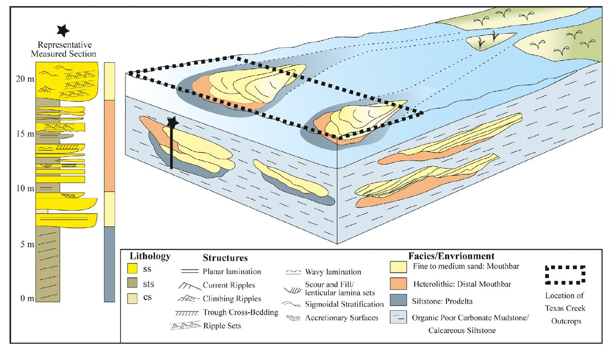 gloriouslymuddy's tweet photo. New paper alert!
"Stratigraphic architecture of climate influenced hyperpycnal mouth bars"
by Ellen Melstrom and myself in @JSedimentology.
Way to go Ellen!
#sedimentology #stratigraphy #paleoclimate #deltas #lacustrine #supercriticalflow #upperflowregime
https://t.co/iHEzTYvhf6 https://t.co/SG0AwLrzYq