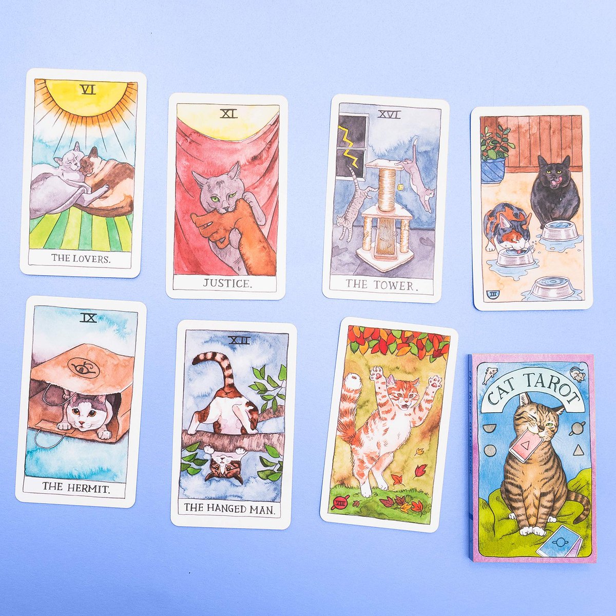 XVIICARD's tweet photo. // Antes de que lo pregunten, si. Hay una baraja completa de gatitos. https://t.co/gfPacXEADQ