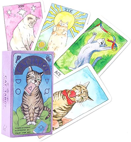 XVIICARD's tweet photo. // Antes de que lo pregunten, si. Hay una baraja completa de gatitos. https://t.co/gfPacXEADQ