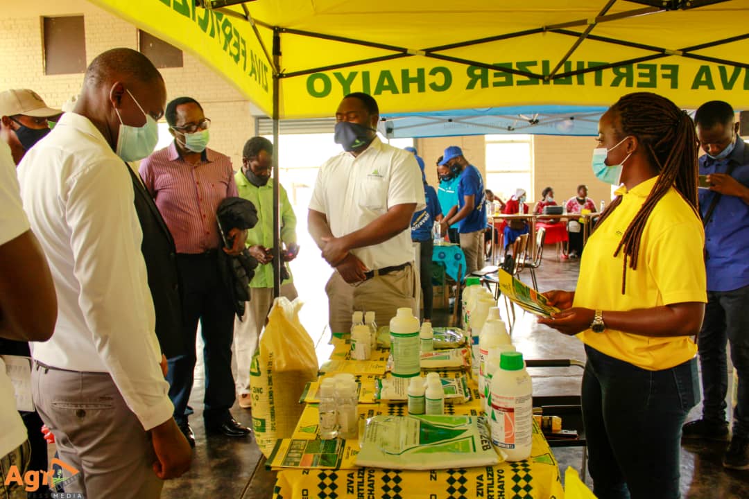 Celebrating tenacious Women in Agriculture ZFC Agronomist <a href="/Moreblessingmuv/">Moreblessing Muvirimi</a>. 

#FemaleForce
#HelpingYouGetaBetterCrop
#FarmersMarket