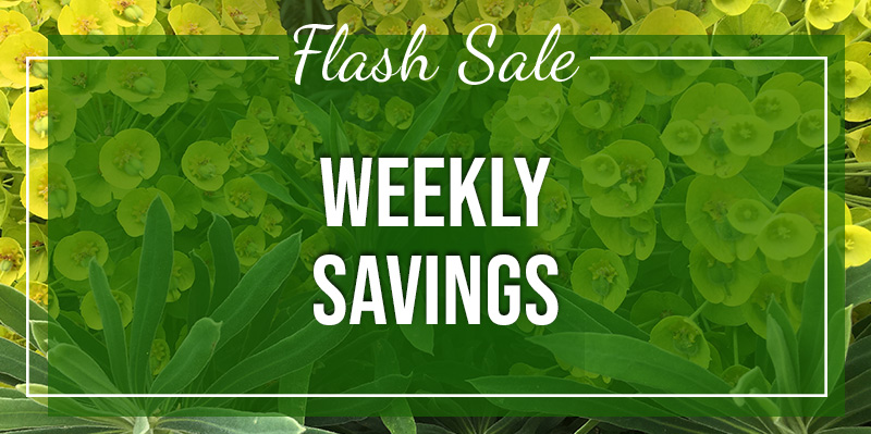 EasternCurrents's tweet image. Save up to 50% on a great selection of products until April 1st! See what's on sale: ow.ly/8DEc50EbzEO