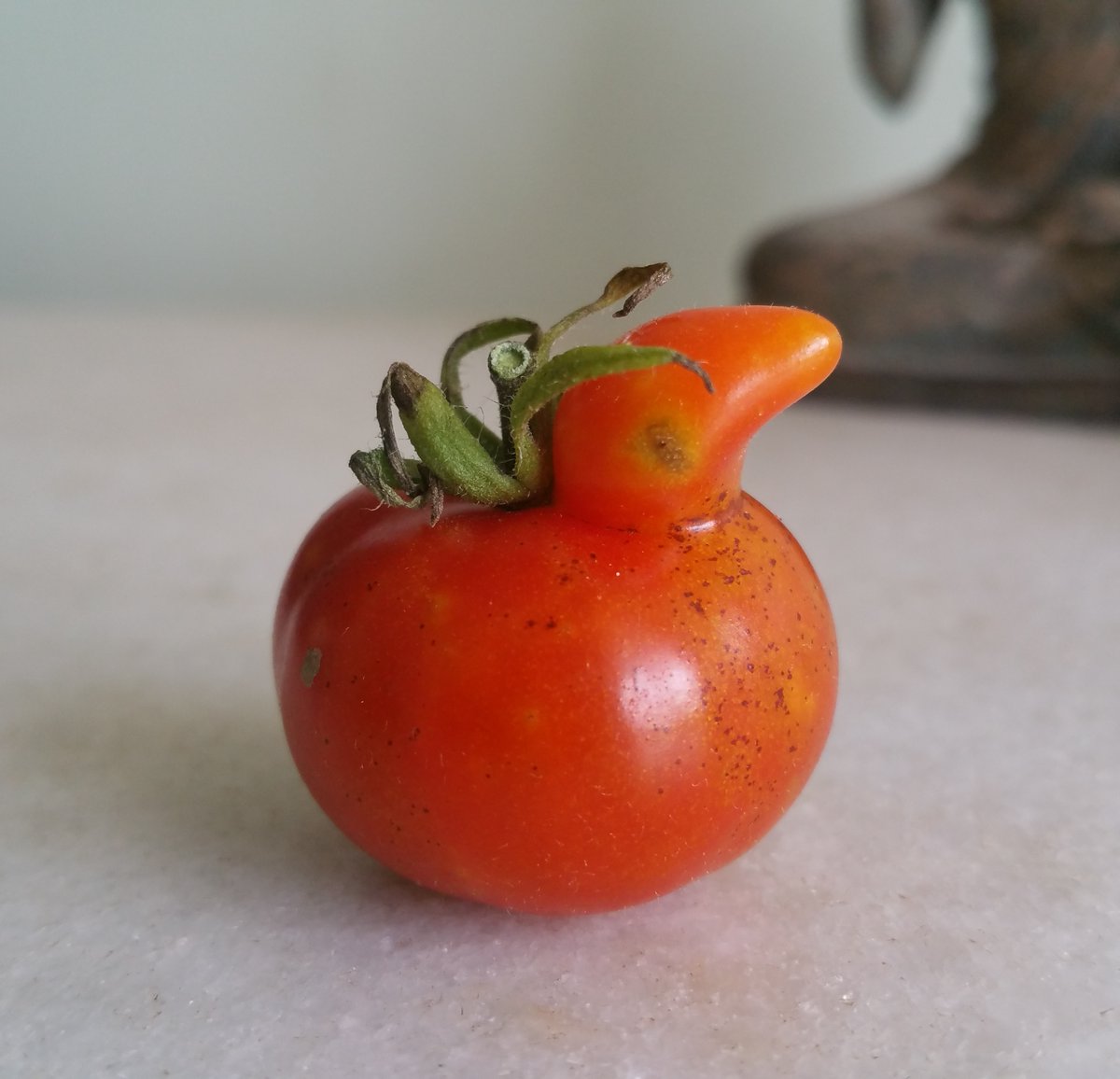 PerottoRenato's tweet photo. organic tomato_ducklin
Love when nature hacks it self and creates art. Colab with sun earth and genetics.
Series random()_nature. JPG 3,9MiB, 2021.
https://t.co/UyDpS3Urj6
@hicetnunc2000
#NFTart #Tezos #XTZ #nftcollectible #NFT #NFTartist #NFTcollectors #CleanNFT #organic https://t.co/FCx2aPVVpu