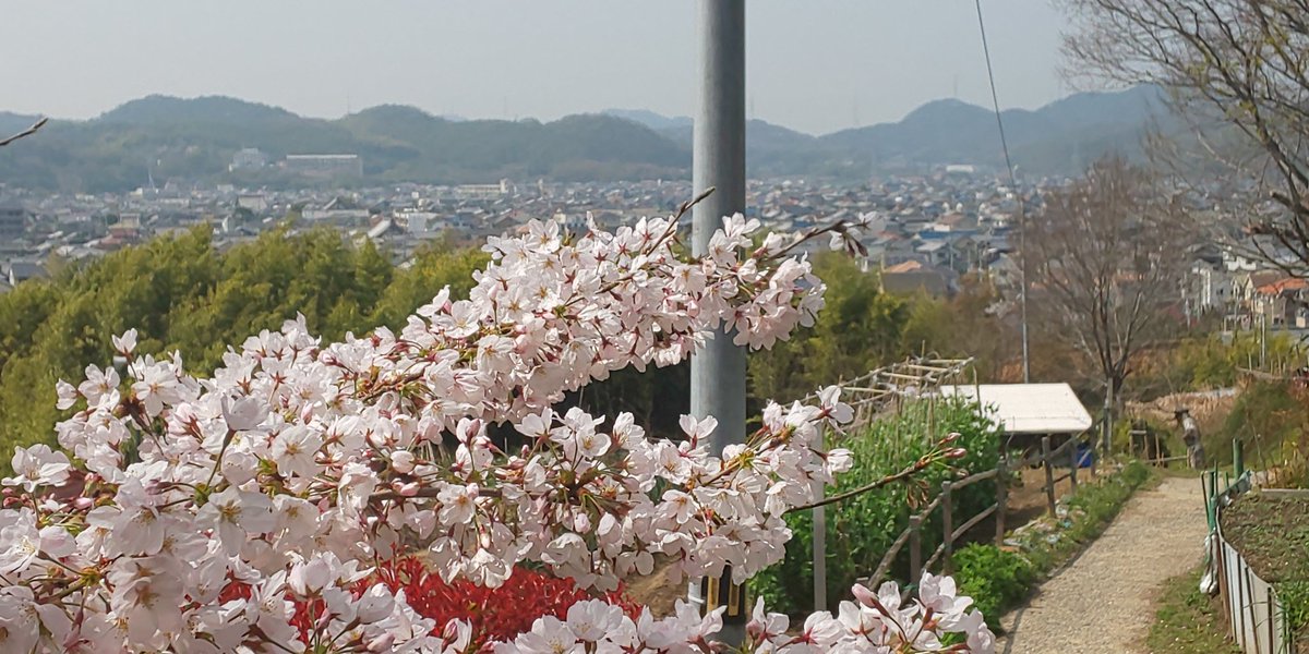 日笠山