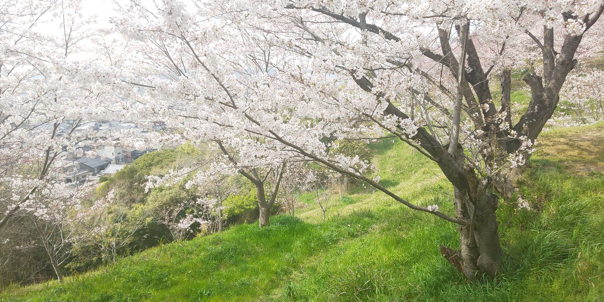 日笠山