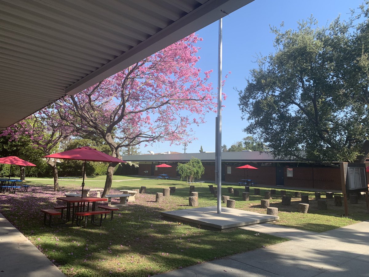 kelsey_kbrown's tweet image. Walked outside 2night 2 this  @ArcadiaUnified #BaldwinStocker beautiful &amp;amp; safe outdoor learning space. My❤️was happy! TY Mr. Humberto/Miss Emilia/ and all our @AUSDOperations heroes for getting us ready #realtimeprogress