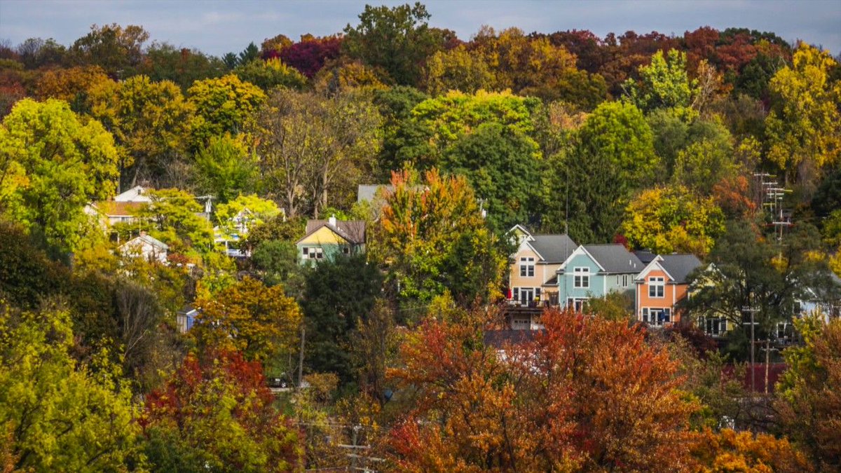 pigment_app's tweet photo. Nature is the mother of color. We love this time-lapse video of leaves changing color in Ann Arbor! https://t.co/QnNB34tL6X #nature #digitalcoloring #inspiration #colormore #PigmentApp https://t.co/1NiLgKmwdi