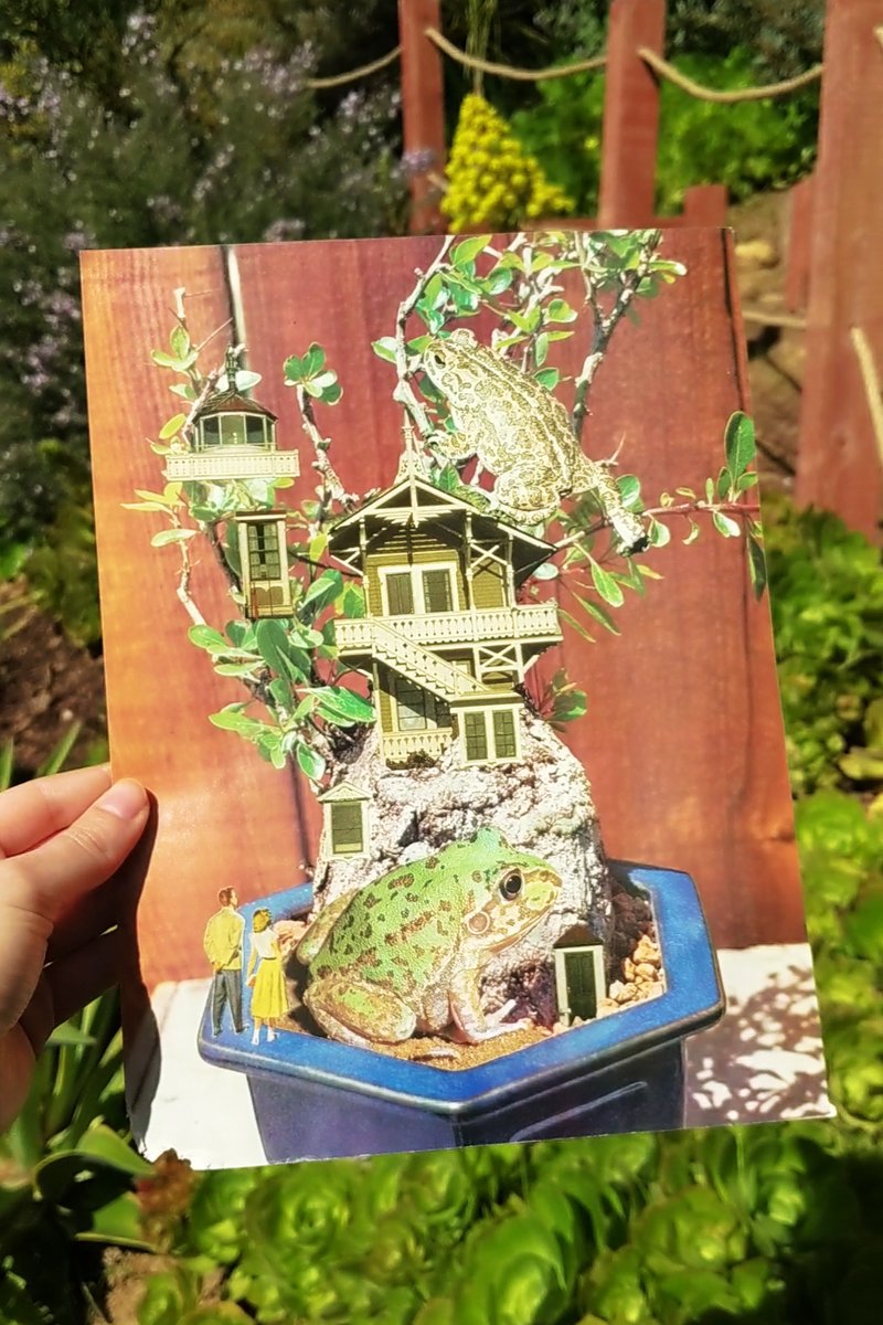Who wouldn't want to live in a frog and bonsai tree house? Ending the month of March with a cute garden themed collage🐸🌿

#collage #ArtistOnTwitter #garden #collageart #fairy #fairygarden #Bonsai  #artists #Art