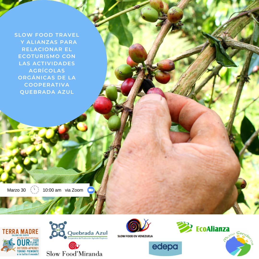 SlowFoodMiranda's tweet photo. Ecoturismo y la gestion agrícola orgánica de Cooperativa Quebrada Azul en el marco del evento mundial Terra Madre SlowFood
Martes 30/03/2021
🕙10:00 am 🇻🇪
https://t.co/Ns2FtOgkgQ 
#SlowFoodMiranda
#CooperativaQuebradaAzul #EcoalianzadeVenezuela https://t.co/rgoh6qBIy8