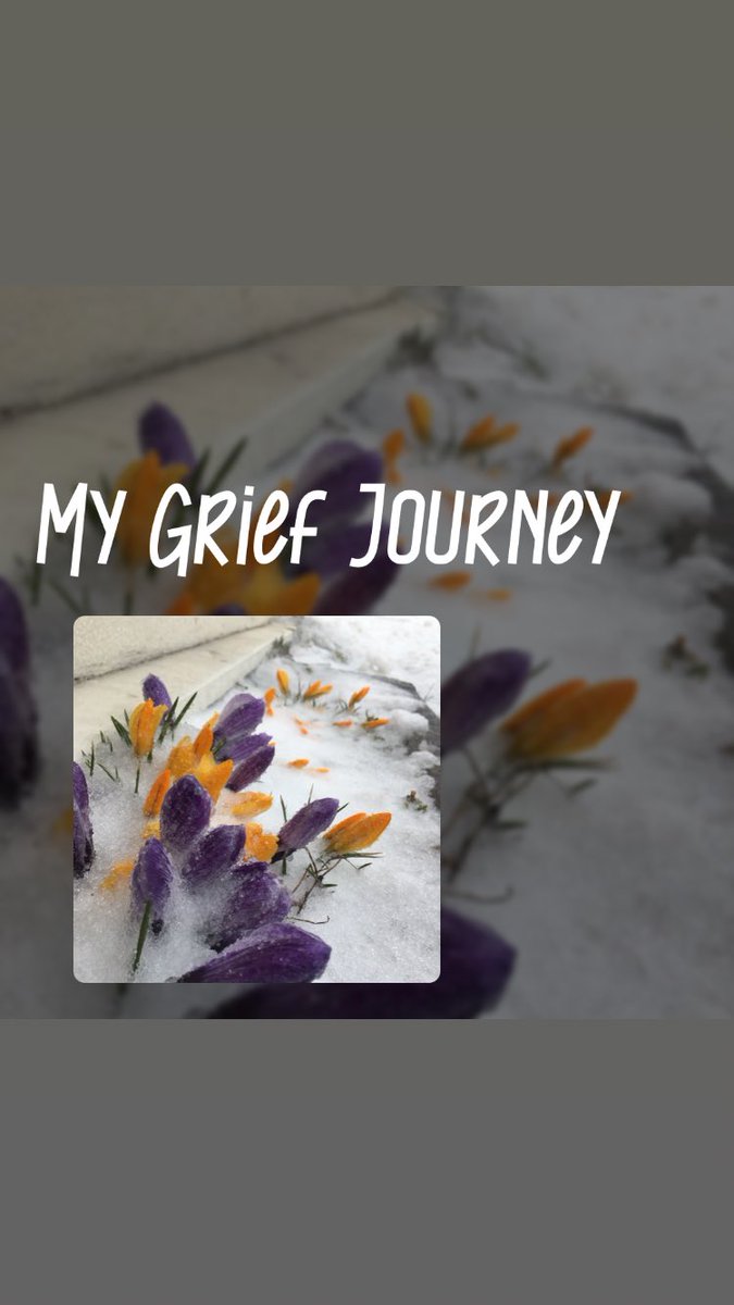 LMBruff's tweet image. On my way home tonight the wind came up and the rain turned to sleet. As I put my head down to protect my face, this is what I saw. 🌸

It reminded me of how I feel somedays - ready to burst into life, even though I know that some days it will be harder for me to be seen. 
#grief