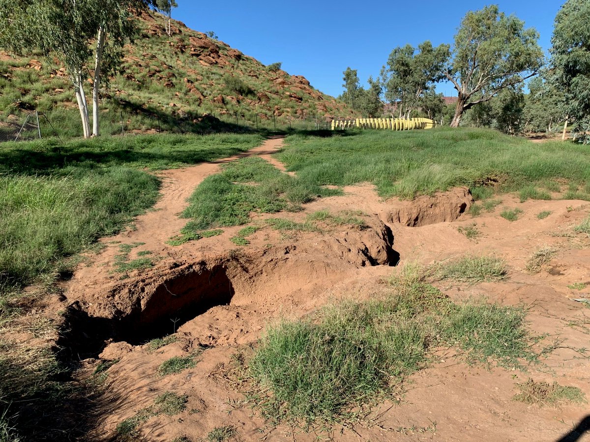 Alice Springs Town Council tweet media