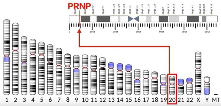 ☆:**:. ℭ𝔢𝔷𝔞𝔫𝔫𝔢 🇭🇰 ᶜᶜᴾ 👎🏻 .:**:.☆ tweet media