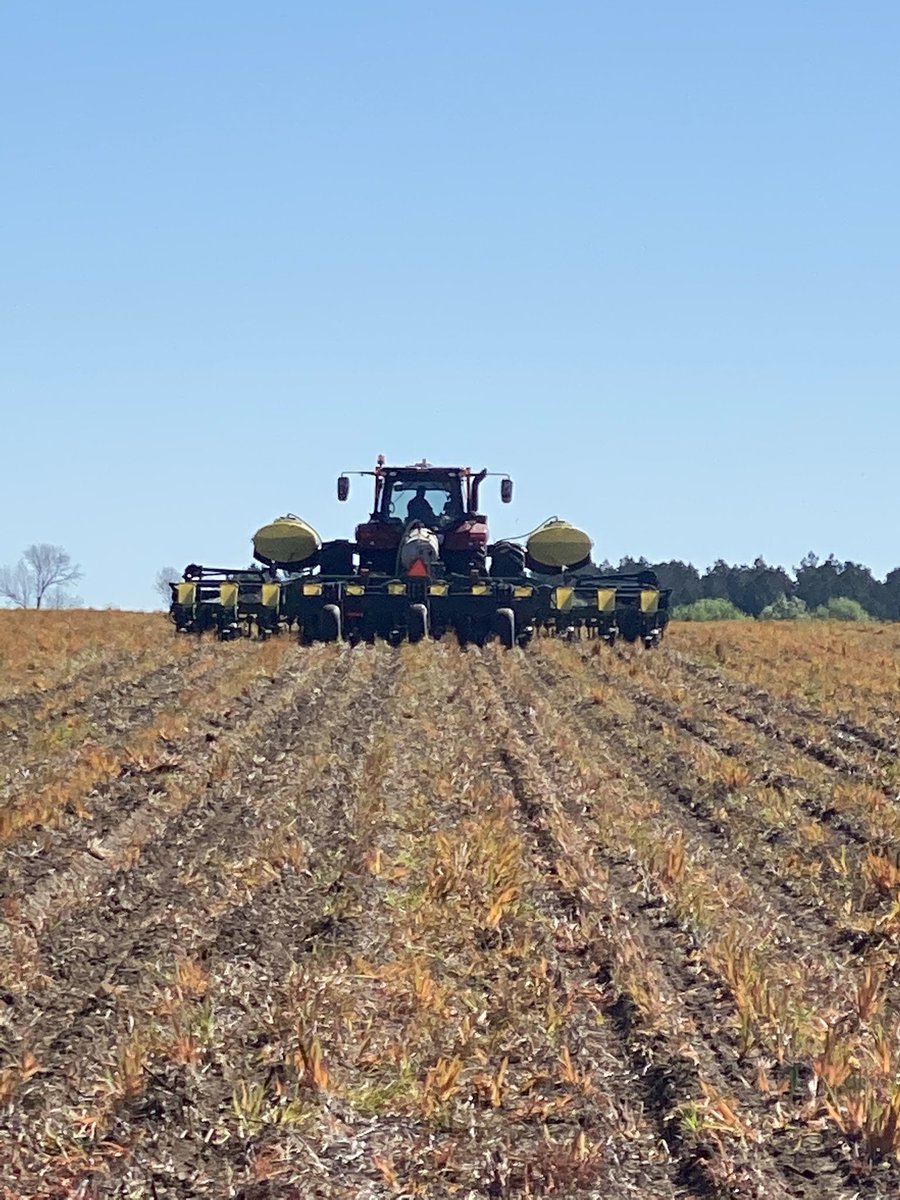 MPlumblee's tweet photo. Two more county hybrid trials in the ground! Many thanks to JCO and Tindal Farms for cooperating. #scgrown #corn #eastercoolsnapiscoming https://t.co/qkInXycM0Q