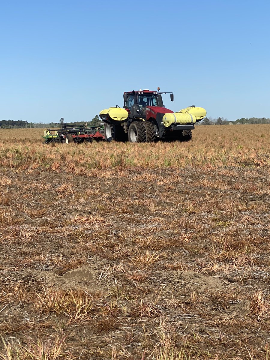 MPlumblee's tweet photo. Two more county hybrid trials in the ground! Many thanks to JCO and Tindal Farms for cooperating. #scgrown #corn #eastercoolsnapiscoming https://t.co/qkInXycM0Q