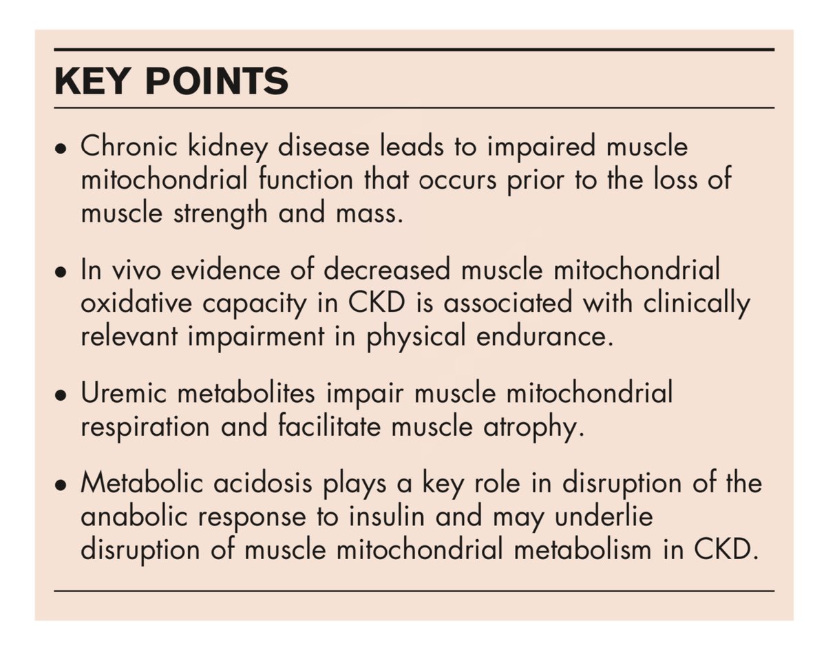 GREXercise's tweet photo. A new review in @CO_Neph_Hype discusses the central role of muscle mitochondrial metabolism in muscle function in Chronic Kidney Disease.

https://t.co/9Et3mB5f4f

@JLGamboa_Velez @broshan https://t.co/OCcZNqR1bC