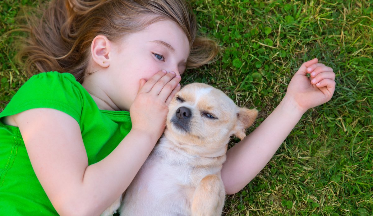 ArmourInsurance's tweet photo. Calling all pet owners! We’ve been working on a new coverage option that we can’t wait to share. Stay tuned – more details coming this week! #PetShield #petinsurance https://t.co/ErGuUdFM9A