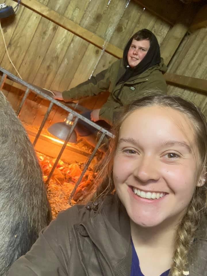 OxfordPig's tweet photo. #OSBPG #Charity supporters doing what they like doing the best.  Being #happy and #proud to breed #Pedigree #OSBPigs helping with the future of our breed.  Be very proud Harriet Gallagher. #HealthyPigs #HappyPigs #Countrylife #farminglife #education @GrowingPigs @pighealthuk https://t.co/Nj0mySwNGT