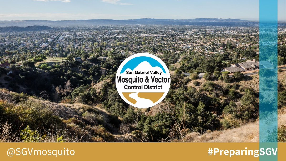 SGVMosquito's tweet photo. @SGVCOG @SouthCoastAQMD @cityofalhambra @CityofDuarte @MonroviaCA @ConnectwithTC @FoothillTransit @ReadyLACounty @HildaSolis @kathrynbarger @MSGBWatermaster Thank you for having and creating this great conversation. #PreparingSGV #PublicHealth ☺️👋🦟 https://t.co/hh1l3rWqjh