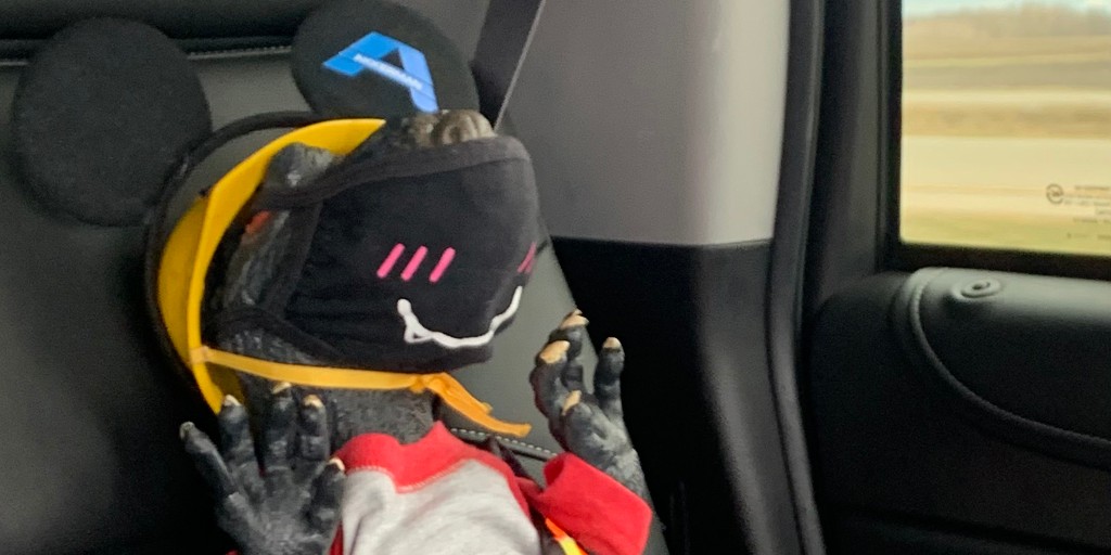 AkkermanInc's tweet photo. Morty has had a great time with @btrenchlessco and Akkerman, but now he's ready for a new adventure! He arrived in FL this morning at the #NoDig2021 Show to return to the @_NASTT. No doubt you'll see him milling about this week!
#NoDig2021
#MortyMondays
#MortyTheTunnelRat https://t.co/byiUJC87Ma