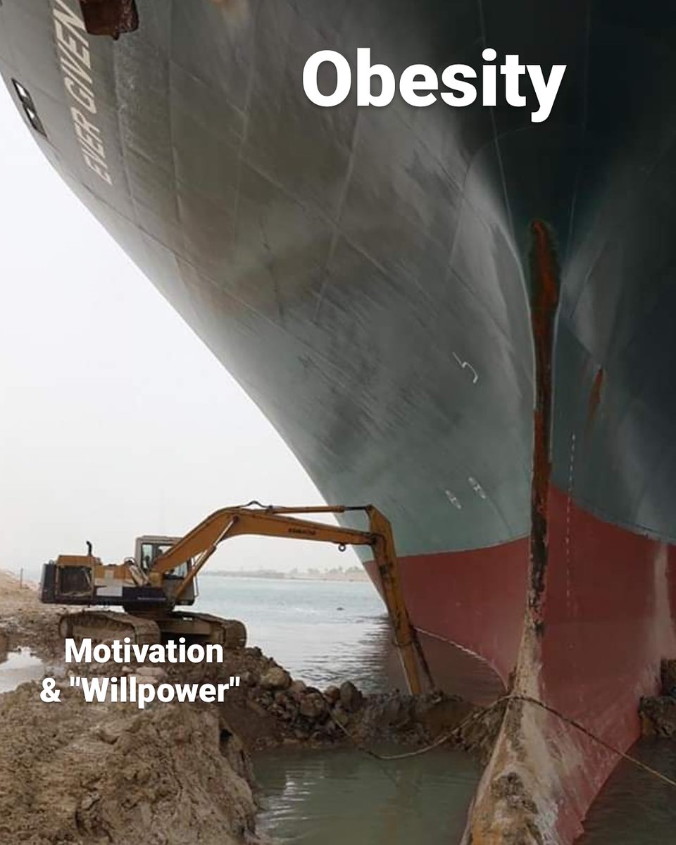AislingColgan's tweet photo. Creating dietetic memes > actually studying for dietetic exams #rd2be https://t.co/yKKXJh1aOa