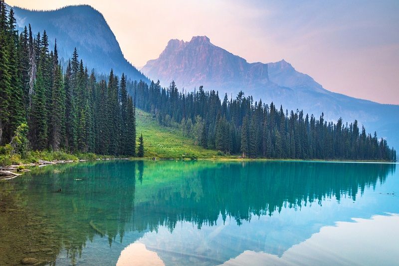 Connect_WW's tweet image. If your company is like most growing organizations, you’re are always on the look-out for simpler, more cost-effective ways to run IT.  Here are 5 ways to power your business with @HPE_GreenLake #cloud services. #ConnectConverge

connect-converge.com/5-ways-to-powe…