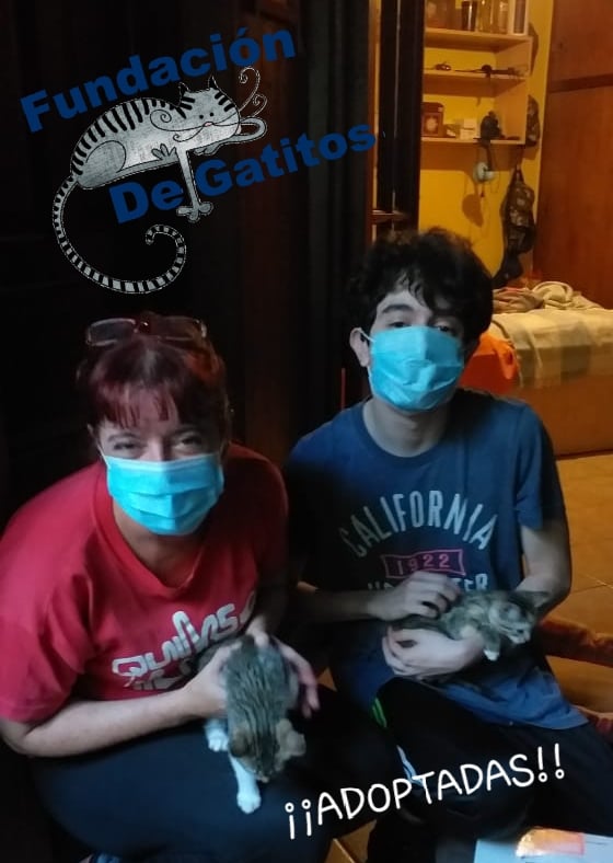 DeGatitos_'s tweet photo. #FreyaFDG
Ayer Domingo a full no paramos.
Dos de las Freyitas ya tienen hogar, y fueron adoptadas juntitas
Felicitaciones por esa familia numerosa!!!
Y también castramos a mamá Freya https://t.co/UNIxSGpb51