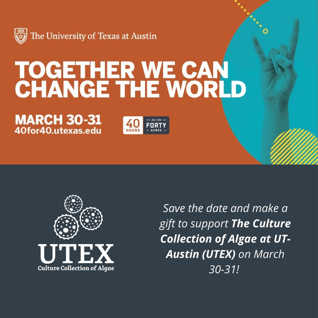 UTEX_CC's tweet photo. For 40 hours, Longhorn Nation will come together so that people, places, and programs across @UTAustin can continue to thrive, adapt, and grow! Save the date and make a gift to support @UTEX_CC and the UT community on March 30-31! #UT40for40 https://t.co/ANRxd9XMNW https://t.co/Fkts5NDCvV