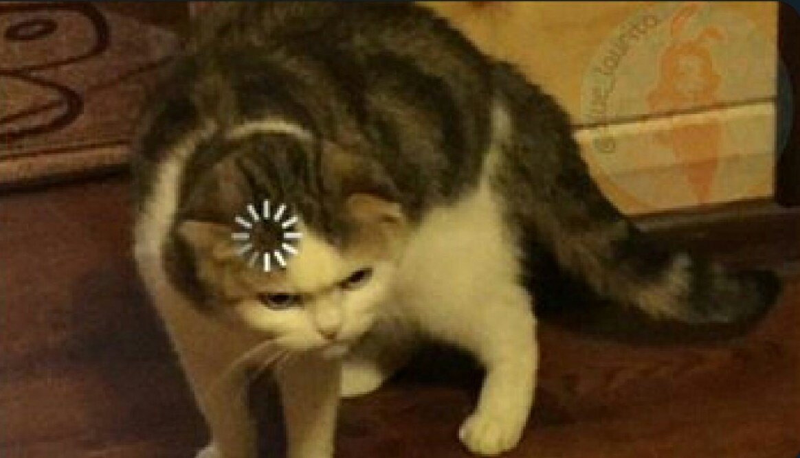 deirbach's tweet image. Cualquiera - ya almorcé 
Lo habaneros - q es eso ?