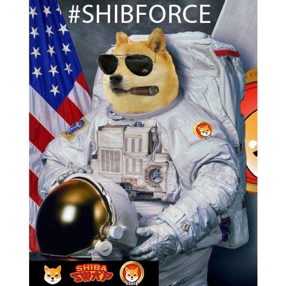 shibrother's tweet photo. Live and direct from #Shibforce station Our #SHIBArmy is ready for lift off! @BradleyMock5 #doge #dogecoin #ElonMusk #SpaceX sit back and enjoy the view, #shibaswap is almost ready to take flight 🚀 $shib #NFTs #NASA #shibainu https://t.co/nENF8IdtYq
