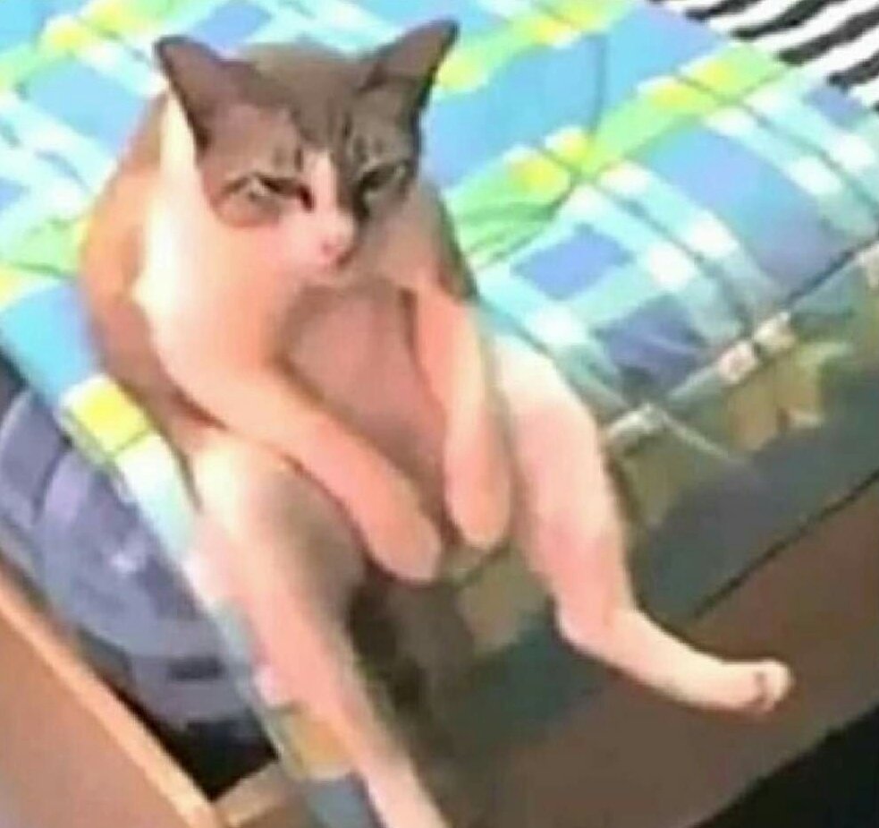 deirbach's tweet image. Preparándome psicológicamente para meterme en la cola del pollo