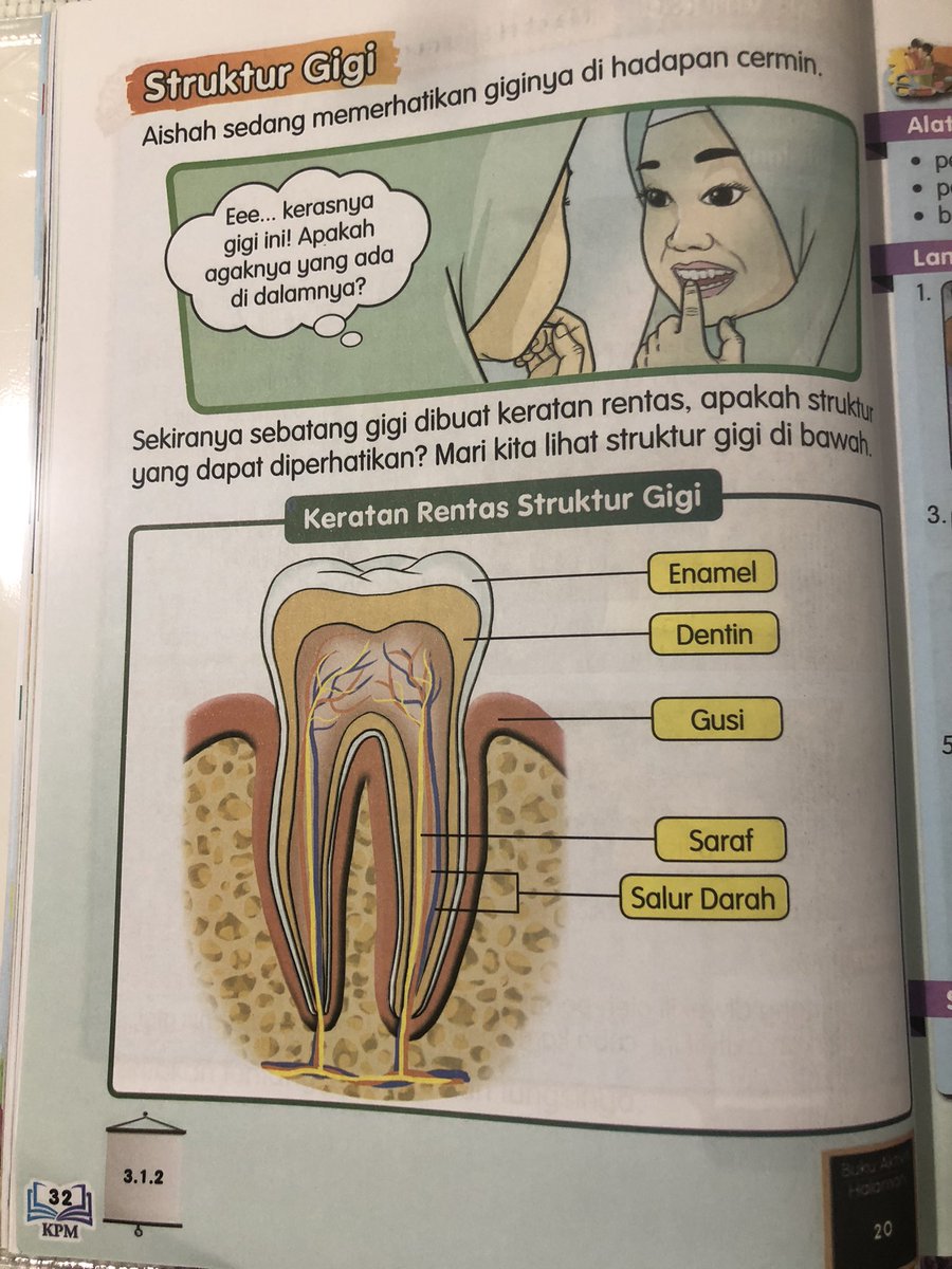 Keratan Rentas Gigi / Jenis Gigi / Keratan rentas gigi oleh cikgu