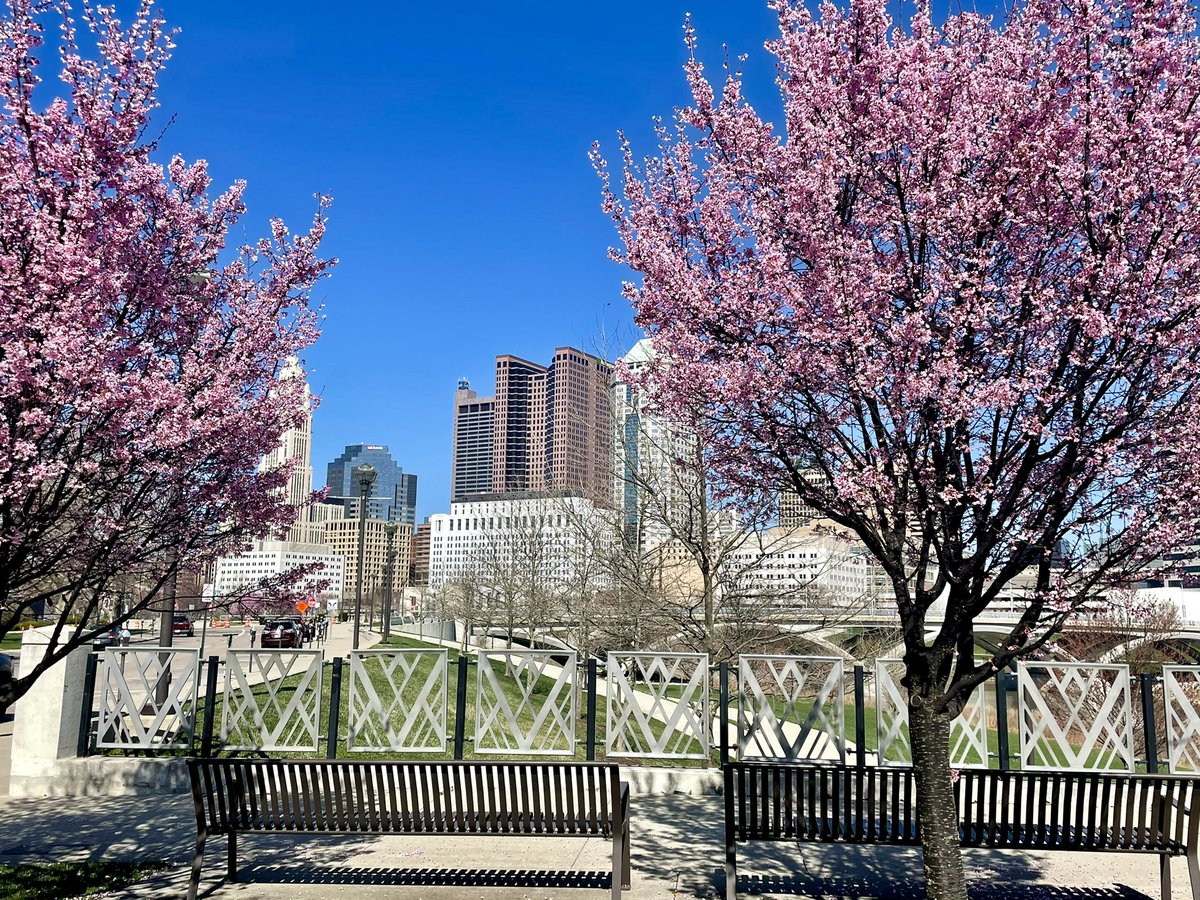 614Molly's tweet photo. Went on a little running 🏃🏼‍♀️ tour of Columbus’ blooms today &amp; they did not disappoint. 💯 worth the ensuing sniffles. ⁣
#AsSeenInColumbus #Run614 #ColumbusOhio #Allergies #10TV #WakeUpCBUS https://t.co/CIzJB8eCKd