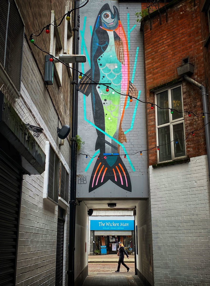 MalMccann's tweet photo. The salmon #crownentry @irish_news @DocumentBelfast @SeedheadArts @belfastcc #belfastentries @streetartnews #streetart #belfaststreets #danleodesign https://t.co/h1mUEmb7PY
