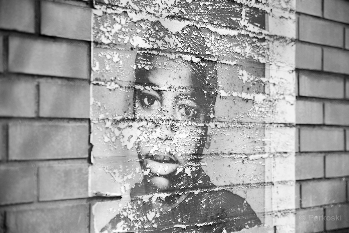 Bob Perkoski tweet media