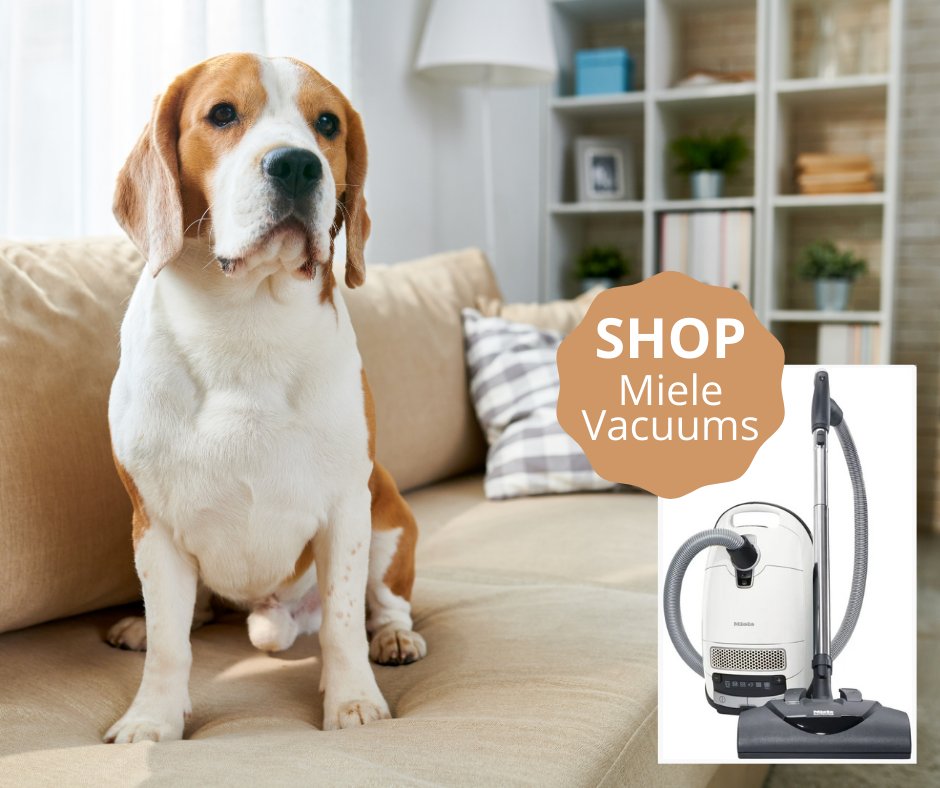 Queen City Audio Video & Appliances tweet media