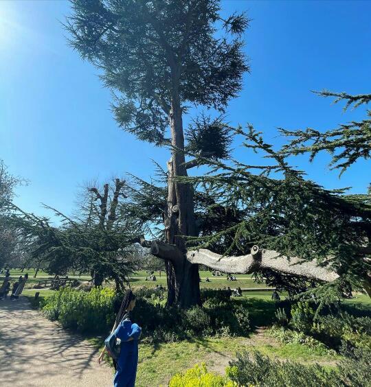 Jesy Nelson tweet media