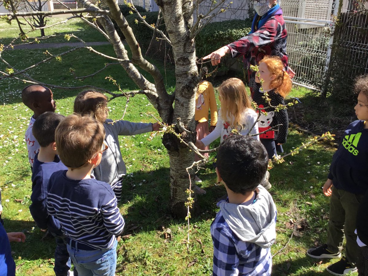 ICordaillat's tweet photo. Parce que l'école maternelle c'est prendre le temps de découvrir, toucher, observer, sentir, partager, s'émerveiller, expérimenter, vivre ensemble... et si on sortait de la classe ? #ageemsection78 #ageem_national https://t.co/C1wYYEvn4E