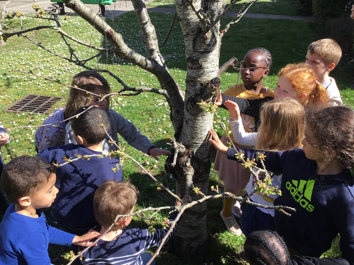 ICordaillat's tweet photo. Parce que l'école maternelle c'est prendre le temps de découvrir, toucher, observer, sentir, partager, s'émerveiller, expérimenter, vivre ensemble... et si on sortait de la classe ? #ageemsection78 #ageem_national https://t.co/C1wYYEvn4E