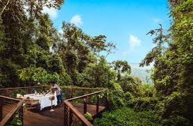 jr_412's tweet photo. Nah Rwanda is way too beautiful😍🇷🇼 https://t.co/j1xAyCDLYp