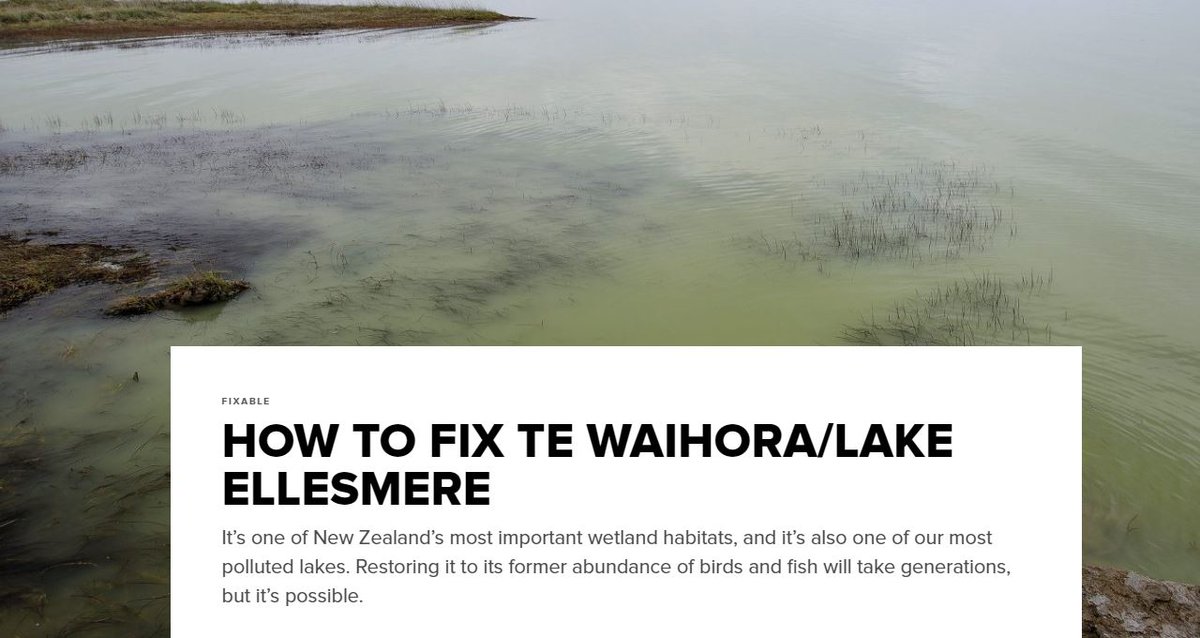 If you haven't yet read it, check out the excellent <a href="/NZGeographic/">New Zealand Geographic</a> feature story on Te Waihora by <a href="/VeronikaMeduna/">Veronika Meduna - is no longer here 🌏</a>:
nzgeo.com/stories/how-to…