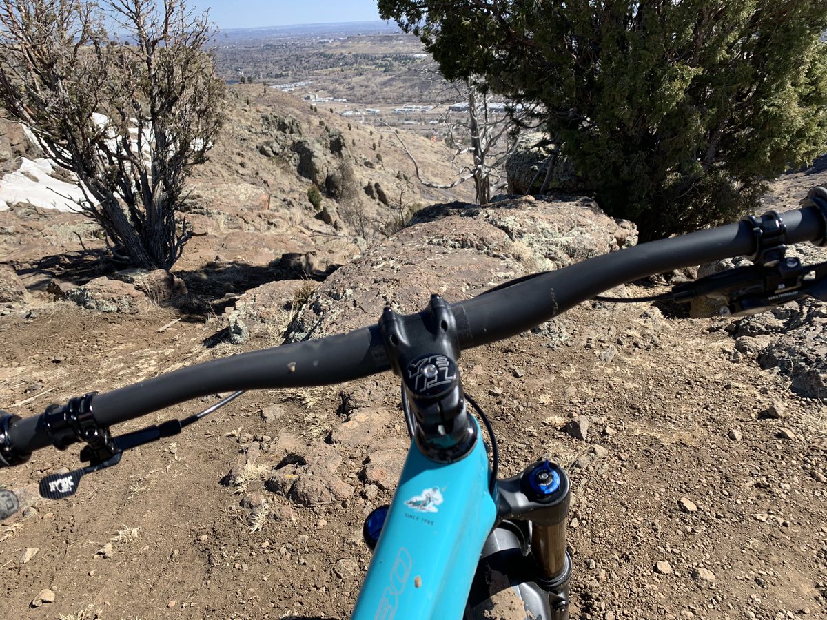 Trevor Hall tweet media