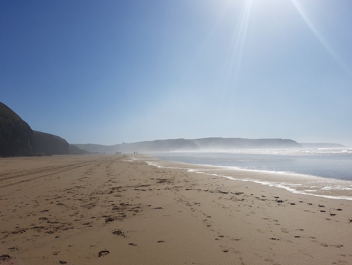 Emily Hunt tweet media