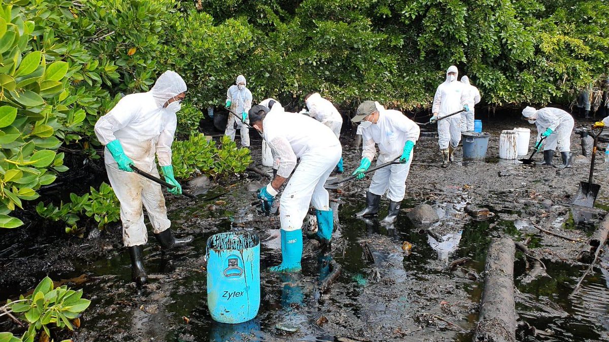 humanityfirstmu's tweet photo. #ARCHIVE: Our volunteers bringing their humble contributions to help clean our beaches during the oil spill of Wakashio.

#HumanityFirst #ServingMankind #Mauritius https://t.co/mHICZzw8eY