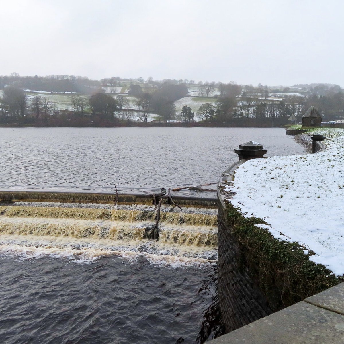 VanVenturesUK's tweet photo. 📍Damflask Reservoir
#walking #dogwalking #walkingaroundthecity #walkingforhealth #walkinginthecity #sheffield #sheffieldissuper #socialsheffield #madeinsheffield #sheffieldphotographer #sheffieldbloggers #visitsheffield #somewhereinsheffield https://t.co/nx1G4vNqnF